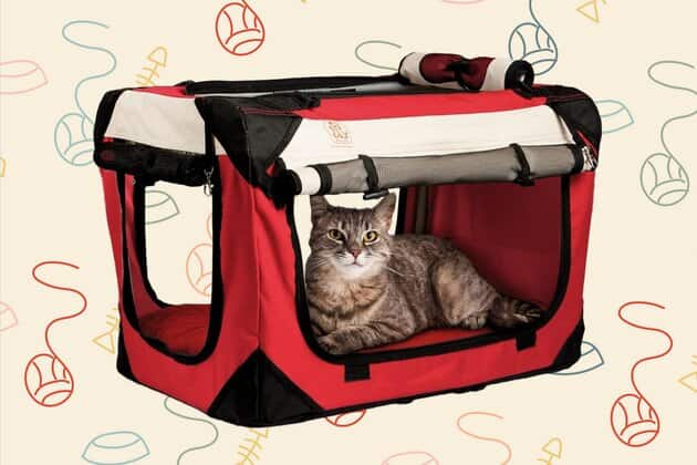 bolsa de transporte para gatos